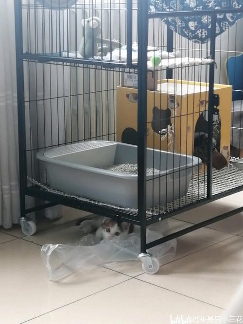 该怎么劝退小三_如何看待小三劝退师这个职业_小三劝退公司违法吗