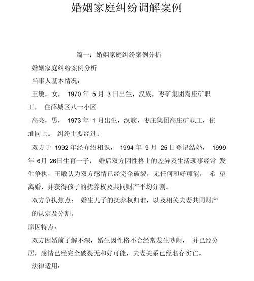 调解婚姻纠纷案例_婚姻调解人_婚姻调解