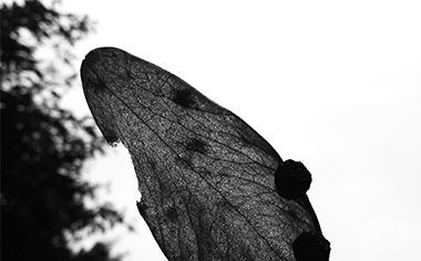 调解婚姻家庭_婚姻调解_婚姻调解人