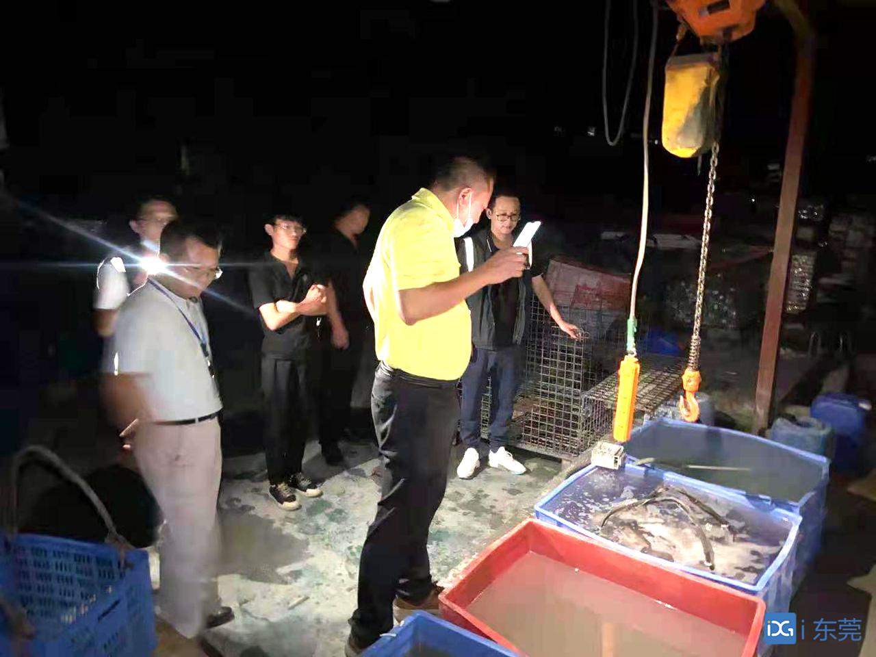 东莞本地调查_东莞证据调查_东莞调查取证