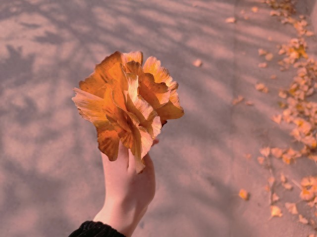 情感文案_文案情感高质量_文案情感高质量短句