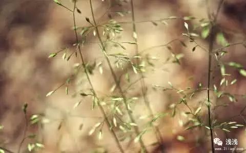 婚姻咨询情感专家去哪儿找_情感婚姻咨询_婚姻咨询情感专家