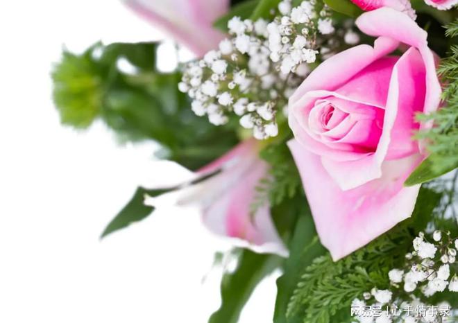 出轨自述女人小说_女人出轨自述_出轨自述女人的故事