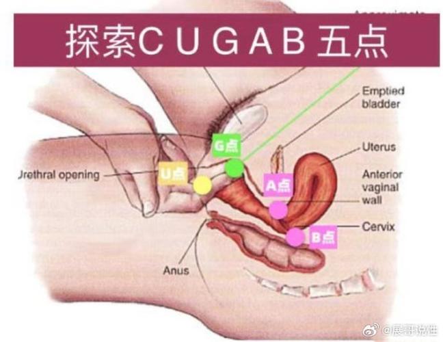 女人出轨自述_出轨自述女人小说_出轨自述女人的故事