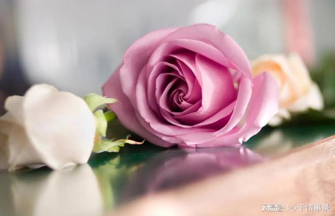 出轨自述女人小说_出轨自述女人的故事_女人出轨自述