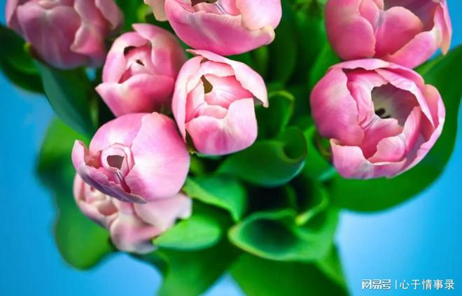 出轨自述女人小说_女人出轨自述_出轨自述女人的故事